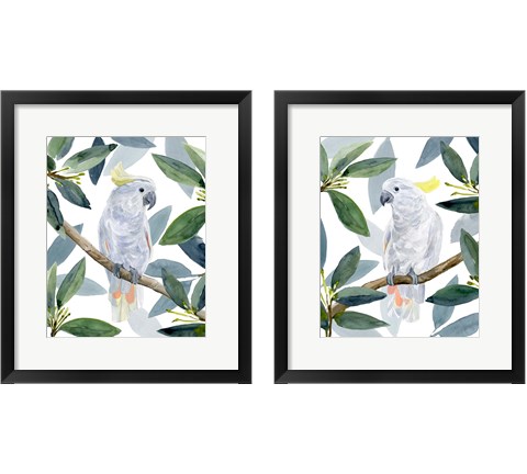 Cockatoo Perch 2 Piece Framed Art Print Set by Annie Warren