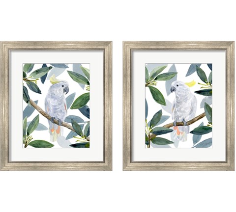 Cockatoo Perch 2 Piece Framed Art Print Set by Annie Warren