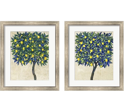 Lemon Tree Composition 2 Piece Framed Art Print Set by Timothy O'Toole