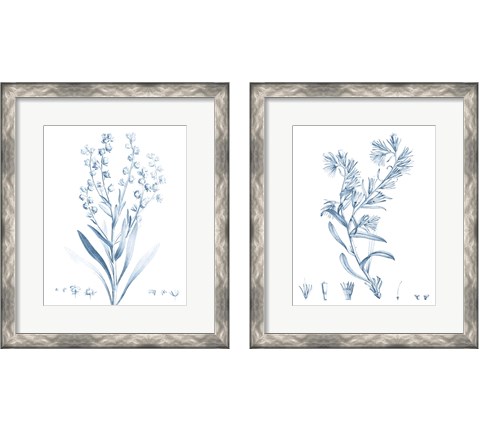 Antique Botanical in Blue 2 Piece Framed Art Print Set by Vision Studio