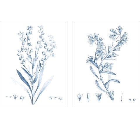 Antique Botanical in Blue 2 Piece Art Print Set by Vision Studio