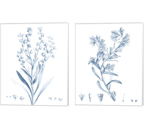 Antique Botanical in Blue 2 Piece Canvas Print Set by Vision Studio