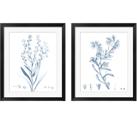Antique Botanical in Blue 2 Piece Framed Art Print Set by Vision Studio
