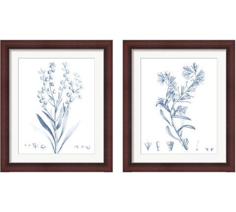 Antique Botanical in Blue 2 Piece Framed Art Print Set by Vision Studio
