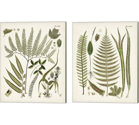 Fanciful Ferns 2 Piece Canvas Print Set