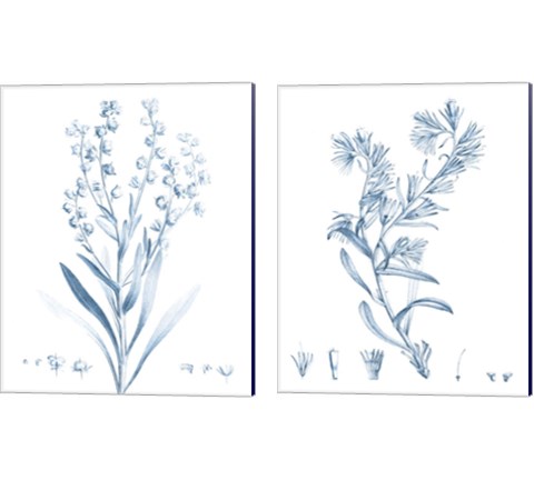 Antique Botanical in Blue 2 Piece Canvas Print Set by Vision Studio