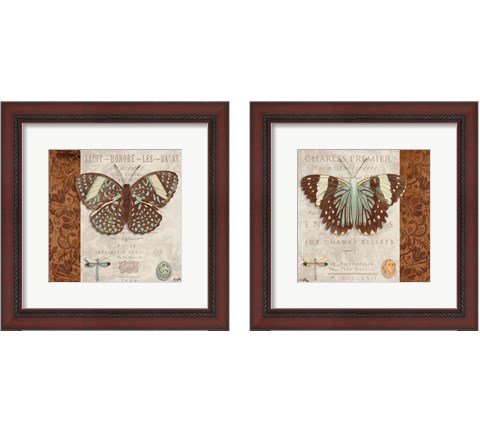 Butterfly on Display 2 Piece Framed Art Print Set by Elizabeth Medley
