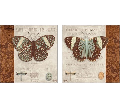 Butterfly on Display 2 Piece Art Print Set by Elizabeth Medley