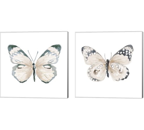 Steady Wings 2 Piece Canvas Print Set by Patricia Pinto