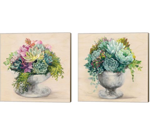 Festive Succulents 2 Piece Canvas Print Set by Julia Purinton