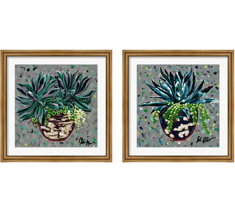 Succulent Pot 2 Piece Framed Art Print Set by Jodi Augustine