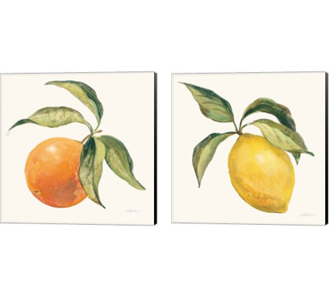 Le Citron & Orange on Cream 2 Piece Canvas Print Set by Silvia Vassileva