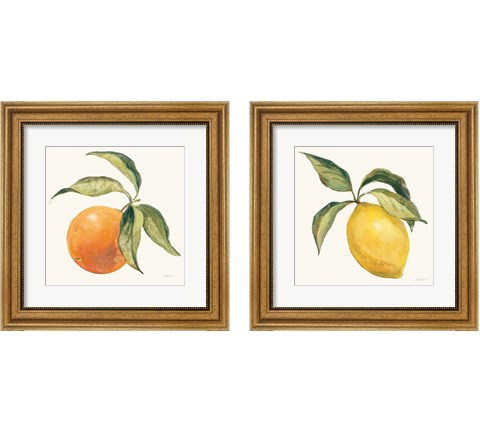 Le Citron & Orange on Cream 2 Piece Framed Art Print Set by Silvia Vassileva