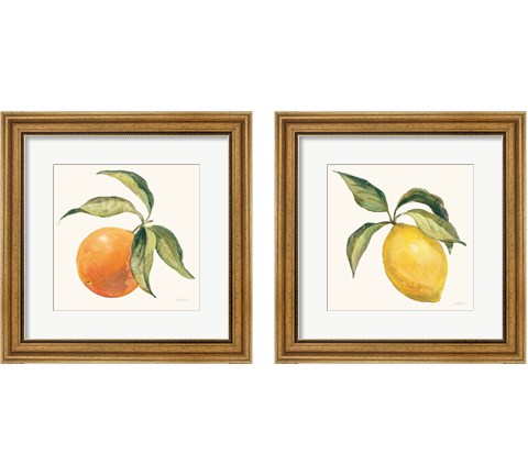 Le Citron & Orange on Cream 2 Piece Framed Art Print Set by Silvia Vassileva