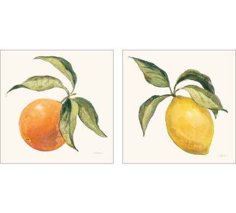 Le Citron & Orange on Cream 2 Piece Art Print Set by Silvia Vassileva