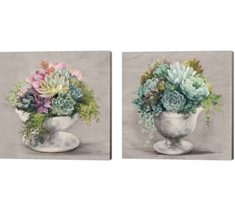 Festive Succulents Gray 2 Piece Canvas Print Set by Julia Purinton
