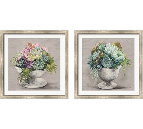 Festive Succulents Gray 2 Piece Framed Art Print Set by Julia Purinton