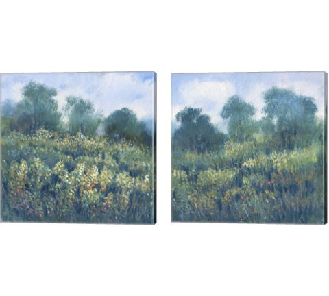 Meadow Wildflowers 2 Piece Canvas Print Set by Timothy O'Toole