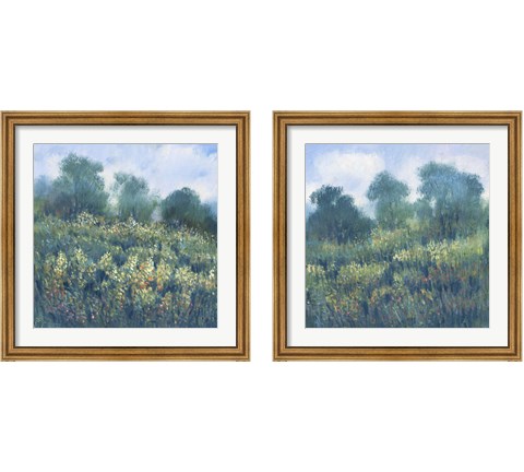 Meadow Wildflowers 2 Piece Framed Art Print Set by Timothy O'Toole