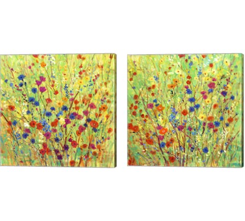 Wildflower Patch 2 Piece Canvas Print Set by Timothy O'Toole