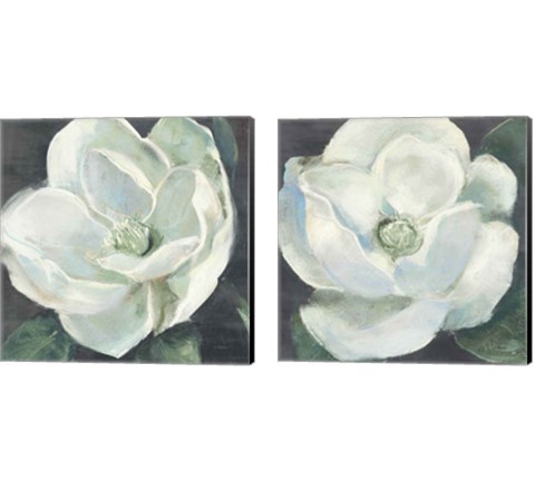 Magnolia Sage 2 Piece Canvas Print Set by Carol Rowan