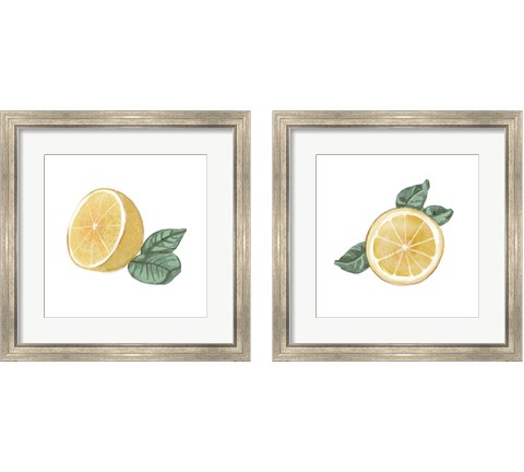 Citrus Limon 2 Piece Framed Art Print Set by Bannarot