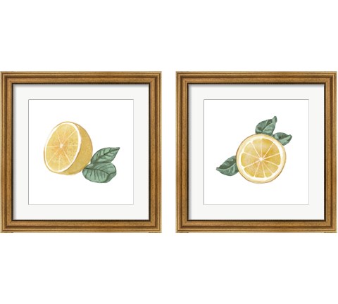 Citrus Limon 2 Piece Framed Art Print Set by Bannarot