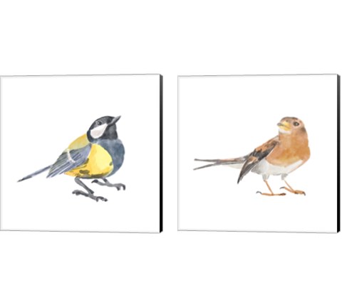 Songbird 2 Piece Canvas Print Set by Bannarot