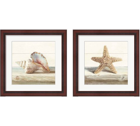 Driftwood Shell 2 Piece Framed Art Print Set by Danhui Nai