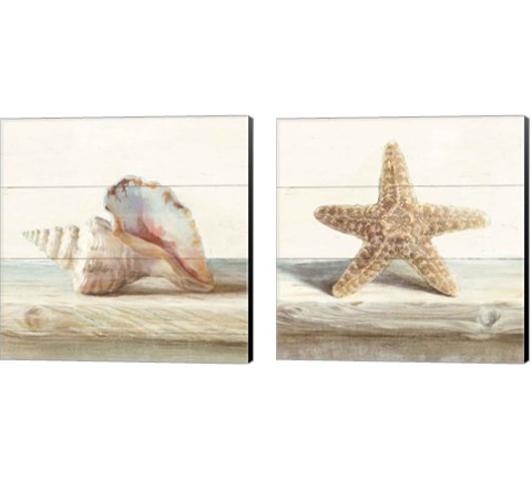 Driftwood Shell 2 Piece Canvas Print Set by Danhui Nai