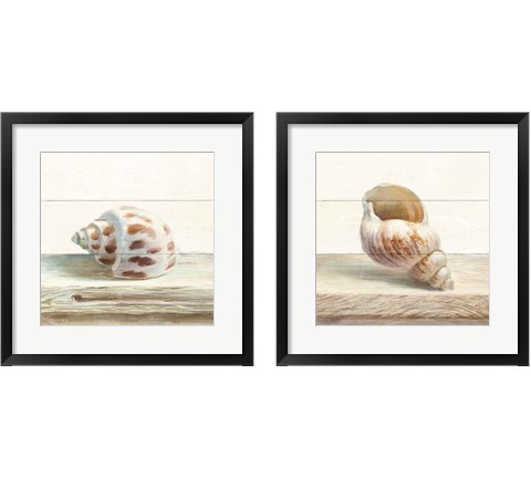 Driftwood Shell 2 Piece Framed Art Print Set by Danhui Nai