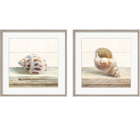 Driftwood Shell 2 Piece Framed Art Print Set by Danhui Nai