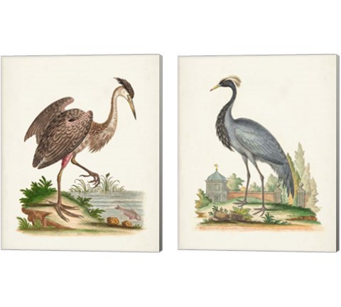 Antique Heron & Cranes 2 Piece Canvas Print Set by George Edwards