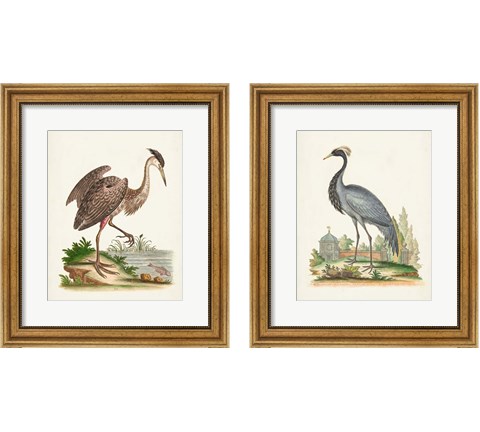 Antique Heron & Cranes 2 Piece Framed Art Print Set by George Edwards