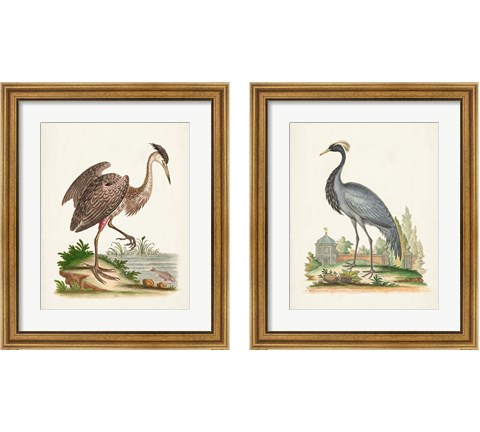 Antique Heron & Cranes 2 Piece Framed Art Print Set by George Edwards