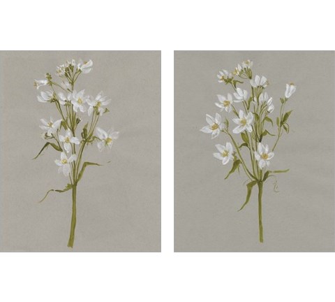 White Field Flowers 2 Piece Art Print Set by Jennifer Goldberger
