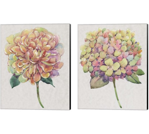Multicolor Floral 2 Piece Canvas Print Set by Timothy O'Toole