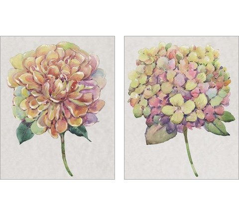 Multicolor Floral 2 Piece Art Print Set by Timothy O'Toole