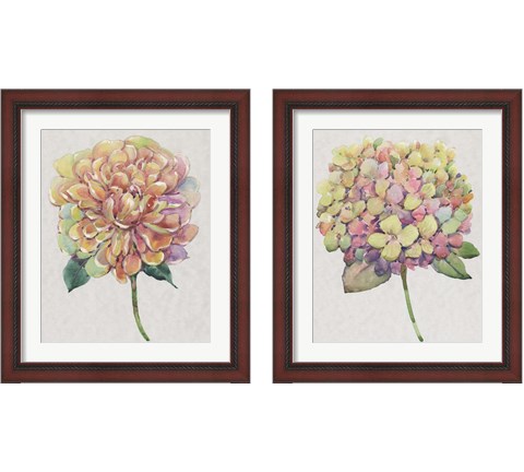 Multicolor Floral 2 Piece Framed Art Print Set by Timothy O'Toole