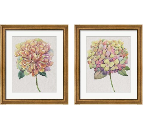 Multicolor Floral 2 Piece Framed Art Print Set by Timothy O'Toole