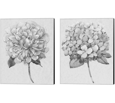 Silvertone Floral 2 Piece Canvas Print Set by Timothy O'Toole