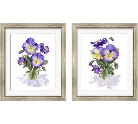 Viola Pansies 2 Piece Framed Art Print Set by Grace Popp