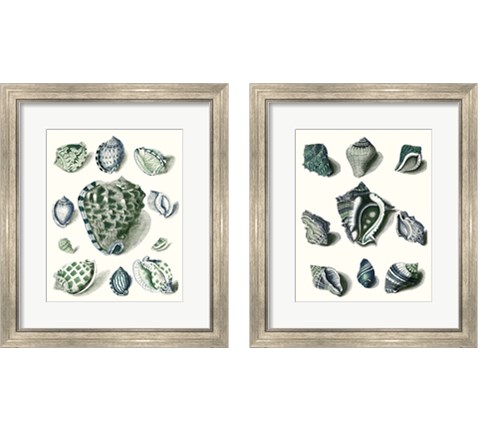 Celadon Shells 2 Piece Framed Art Print Set by Vision Studio