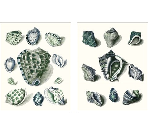 Celadon Shells 2 Piece Art Print Set by Vision Studio