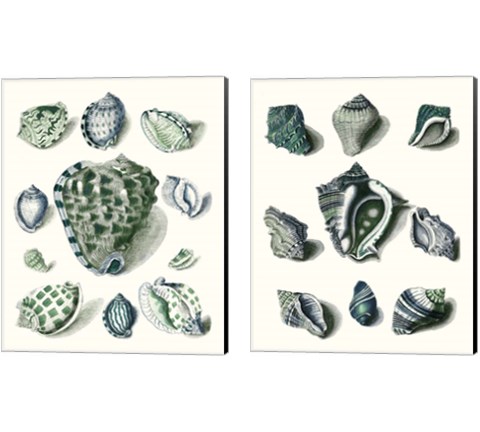 Celadon Shells 2 Piece Canvas Print Set by Vision Studio