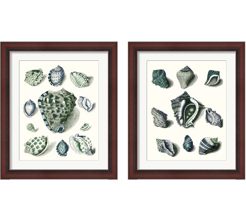 Celadon Shells 2 Piece Framed Art Print Set by Vision Studio