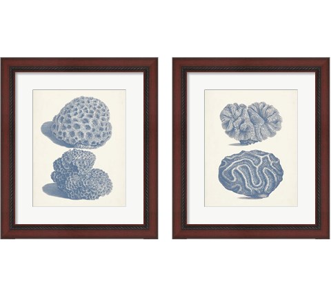 Antique Coral Collection 2 Piece Framed Art Print Set by Vision Studio