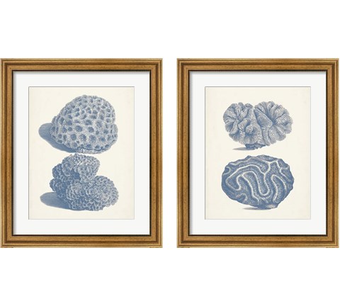 Antique Coral Collection 2 Piece Framed Art Print Set by Vision Studio