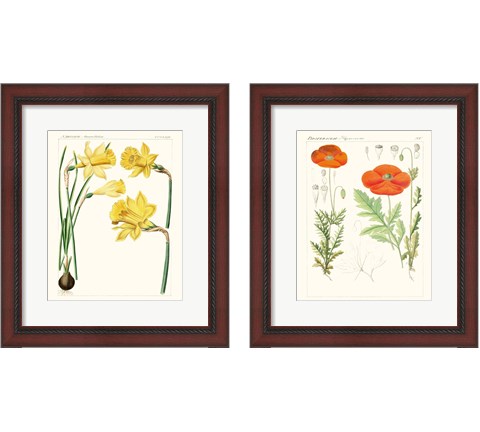 Bright Botanicals 2 Piece Framed Art Print Set