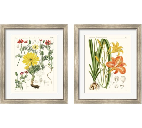 Bright Botanicals 2 Piece Framed Art Print Set
